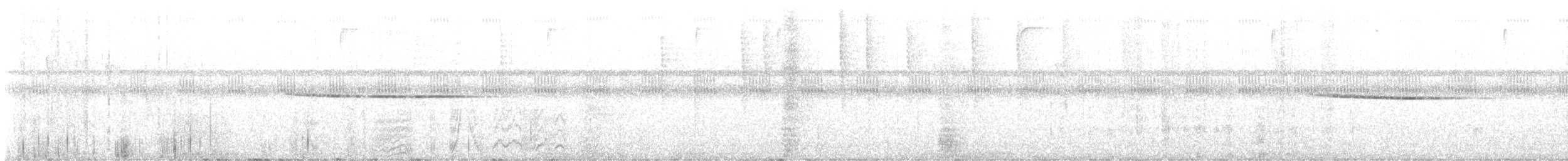 Troglodyte siffleur - ML611510992