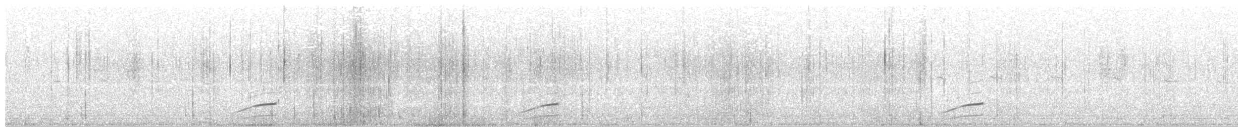 Чернокрылая монашка - ML611515477
