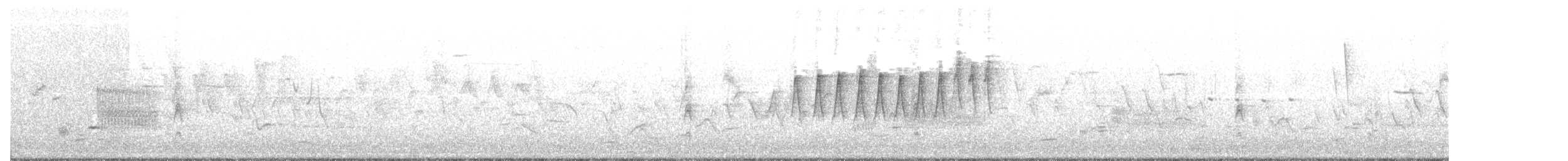 Paruline à calotte noire (pusilla) - ML61152041