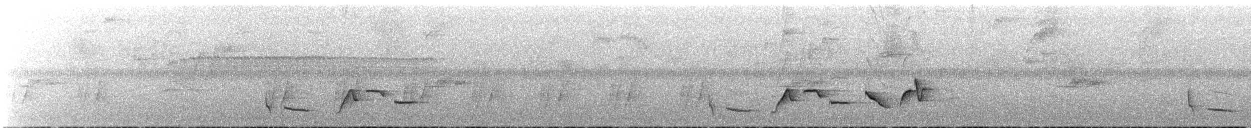 Gri Göğüslü Çıtkuşu - ML611520828