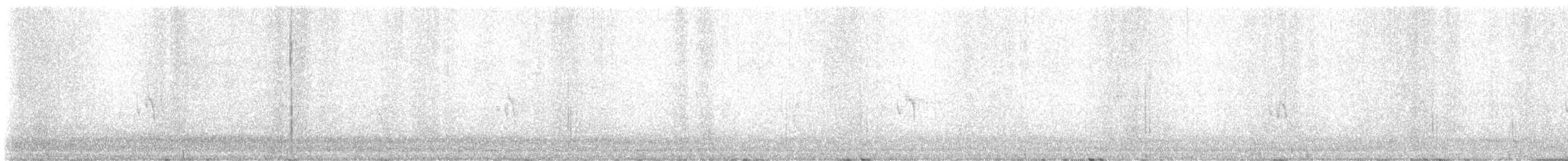 Cassin Çütresi - ML611522934