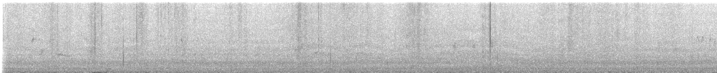 Mirlo Acuático Norteamericano - ML611522986