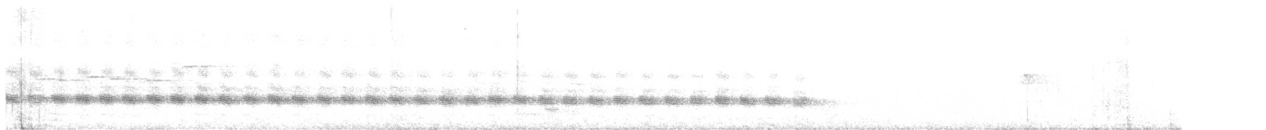 Weißflügel-Raupenfänger - ML611523056