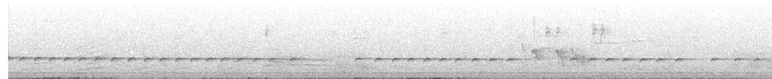 Королаз плямистобокий - ML611526907