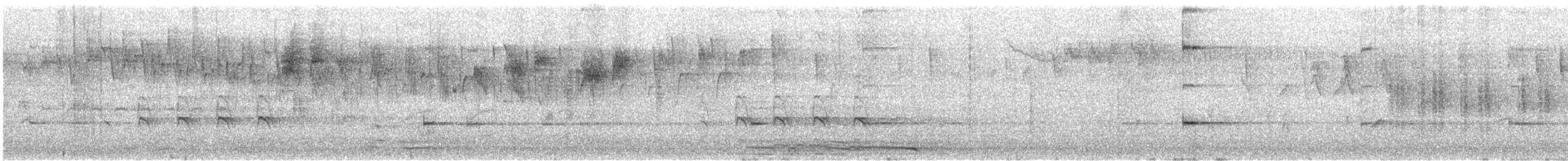 maskaraisfugl (sanctus) - ML611527251