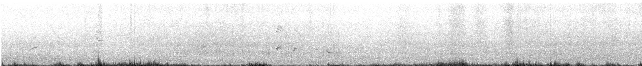 Black-tailed Godwit - ML611529998