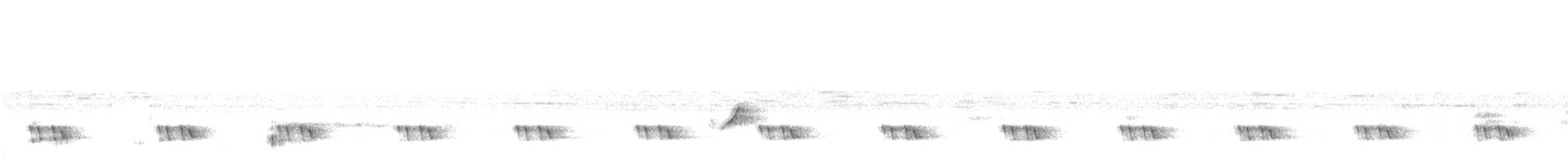 Kara Kulaklı Barbet - ML611535960