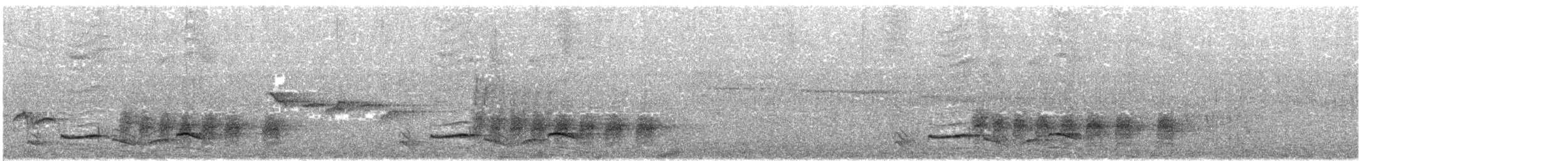 Чагарниця нільгирійська - ML611536228