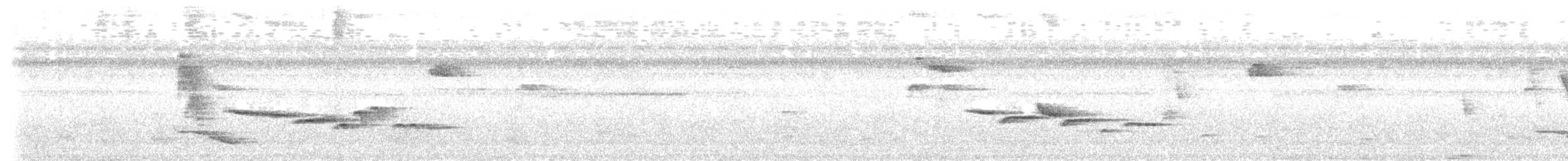 Papamoscas de Célebes - ML611537399