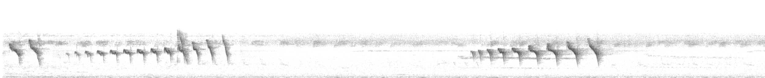 Kara Gerdanlı Karıncakuşu - ML611539666