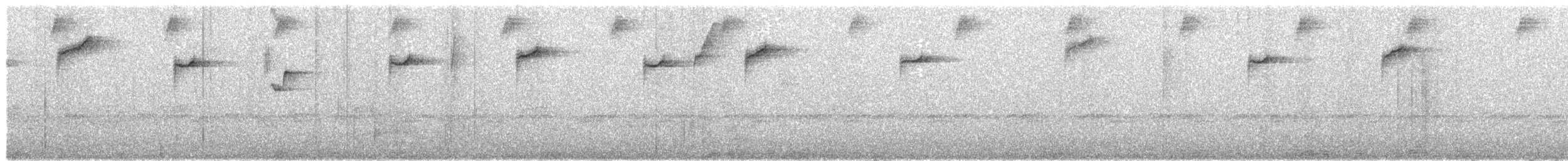 kolibřík bělohrdlý - ML611544134