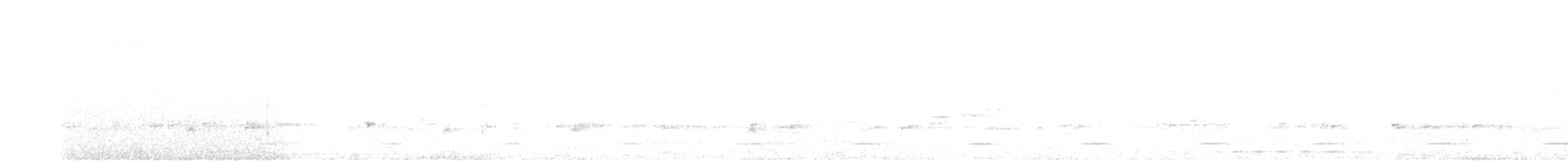 Сичик-горобець болівійський - ML611544443