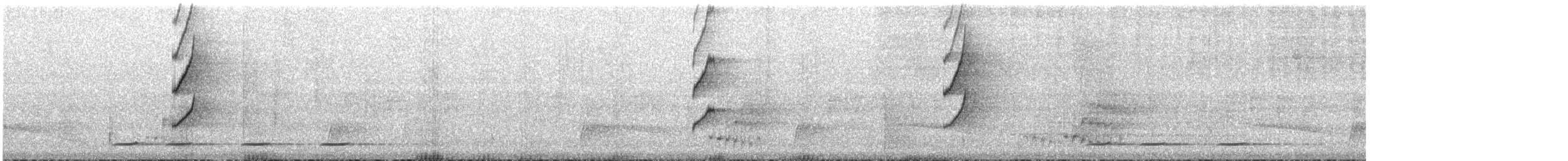 Большеклювый колибри-отшельник - ML611551705