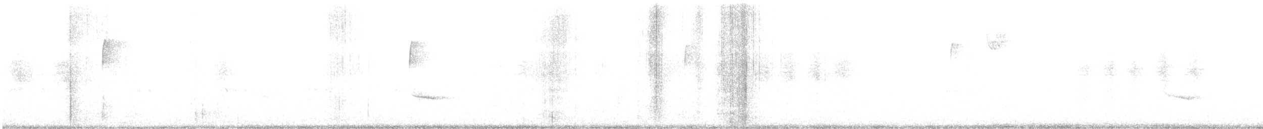 Ash-throated Flycatcher - ML611553250