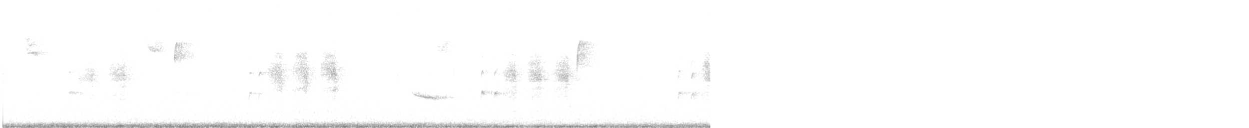 Ash-throated Flycatcher - ML611553263