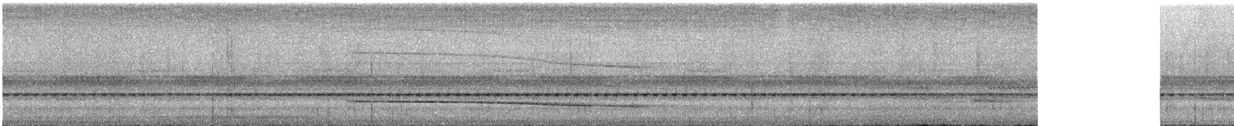Сипуха темно-бура (підвид multipunctata) - ML611553674