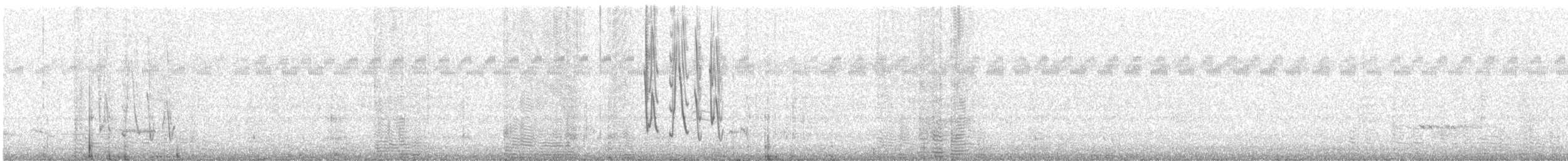 Bourke's Parrot - ML611554069