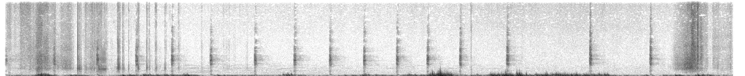 Пастушок королівський (підвид elegans) - ML611554109