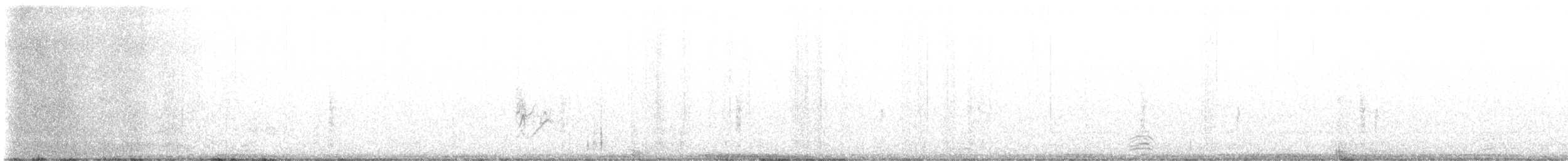 Snow Goose - ML611555900