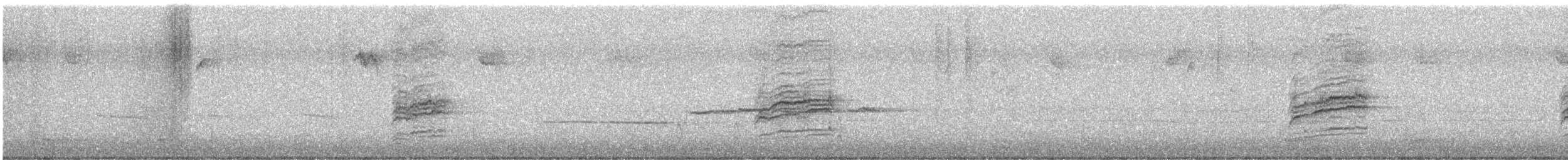 Дрізд-короткодзьоб плямистоволий - ML611558302