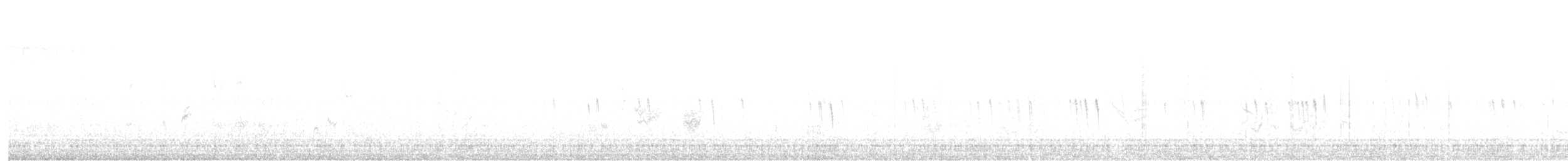 Plectrophane lapon - ML611560108