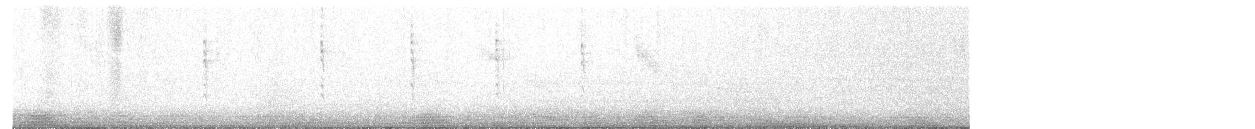 Paruline à calotte noire - ML611561685