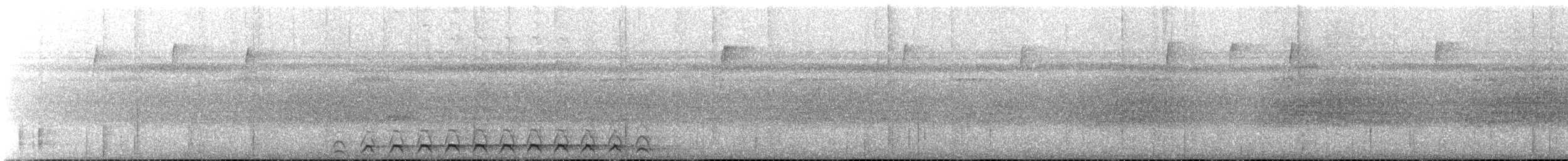 Lattice-tailed Trogon - ML611562444