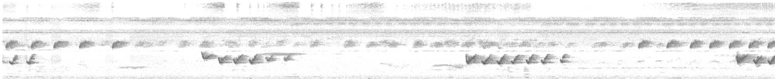 Dwarf Tyrant-Manakin - ML611562653