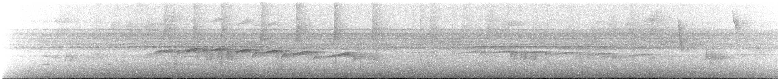 Мурав’янка-куцохвіст плямиста - ML611562776