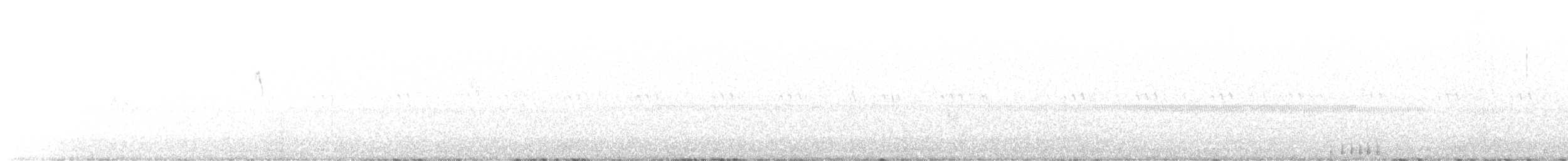 jeřáb kanadský (ssp. tabida/rowani) - ML611562817