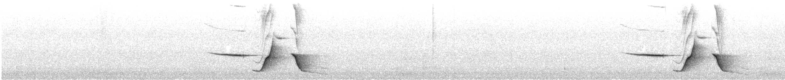 Оливковый свистун - ML611569350
