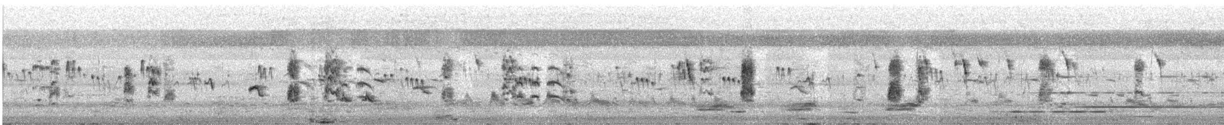 חרטומית ביצות - ML611570439