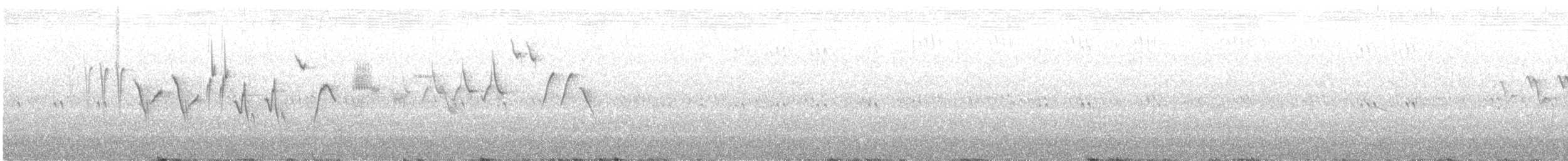 Black-throated Gray Warbler - ML611574640