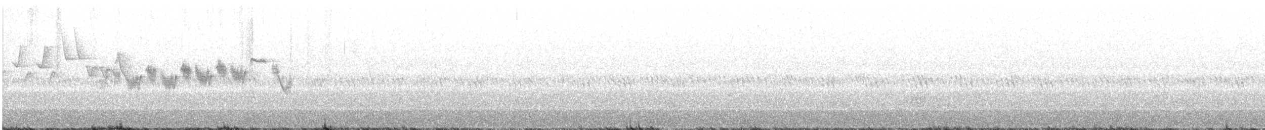 Black-throated Gray Warbler - ML611574644