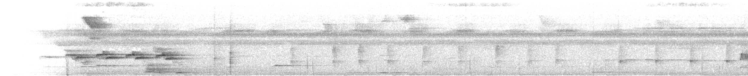 Willis's Antbird - ML611576934