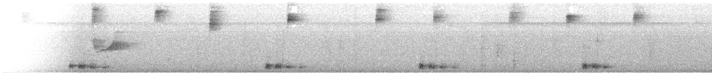 Black-tailed Trogon - ML611577038