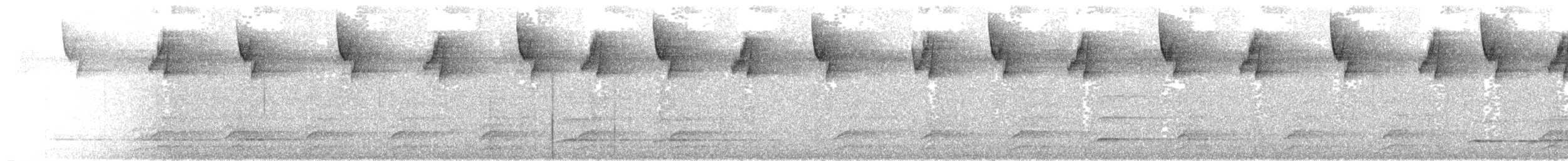 Длиннохвостый колибри-отшельник - ML611577434