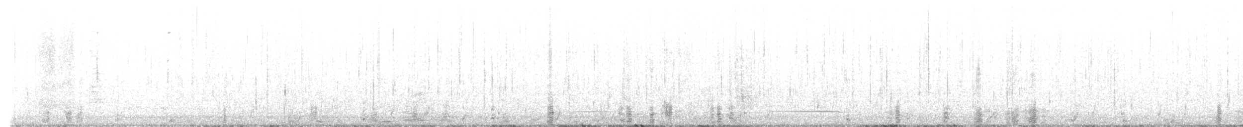 berneška tmavá (ssp. hrota) - ML611579861