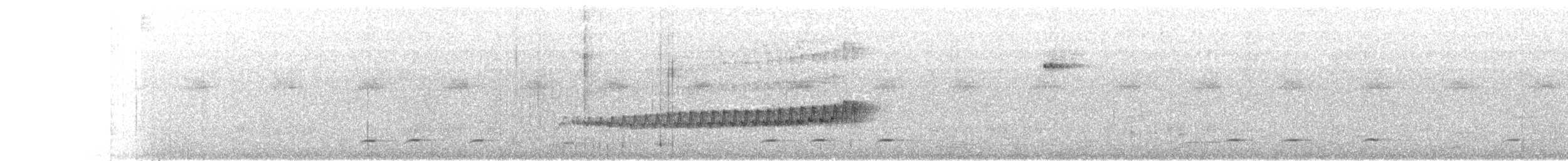 Conopophage capucin - ML611582041