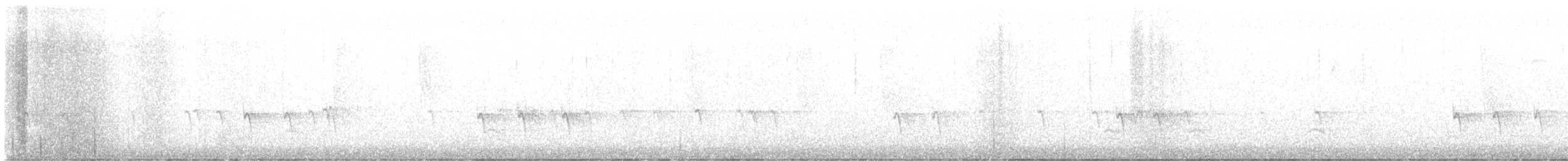 Шишкар ялиновий - ML611582505