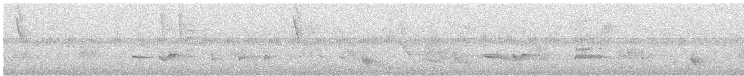Kulaklı Küçük Tiran - ML611590910