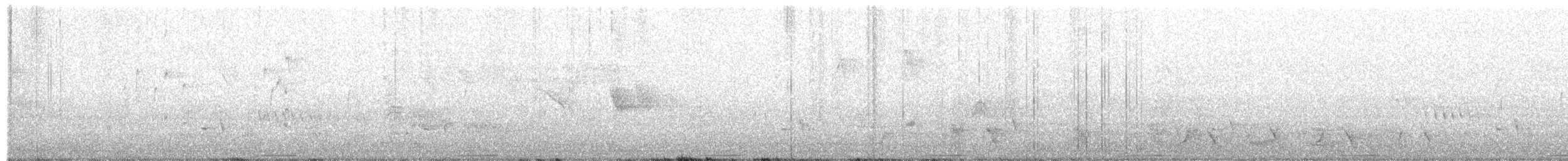 holub pestrokřídlý - ML611591999