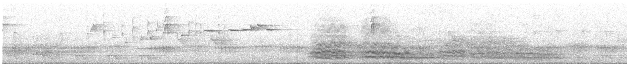 Тасманийский ворон - ML611592634