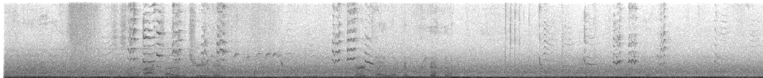 Méliphage à gouttelettes - ML611592887