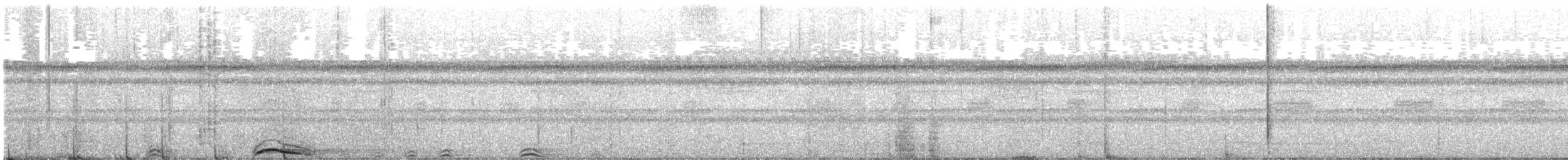 Сова-лісовик смугаста - ML611602096
