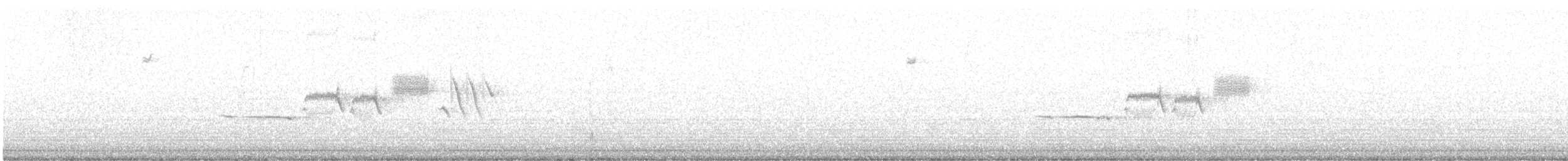 strnadec bělopásý - ML611607529