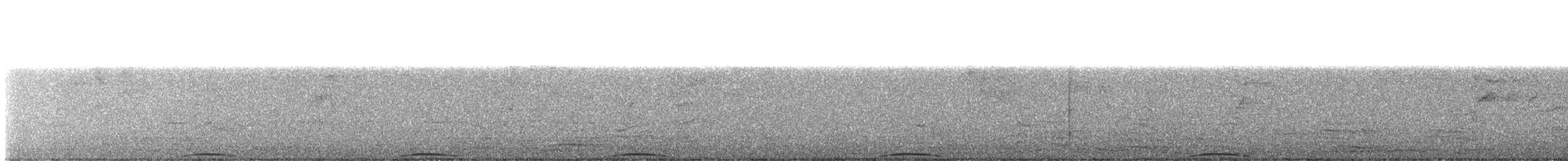 holub chocholatý - ML611607646