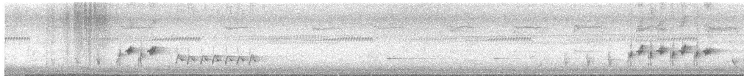 Australian Reed Warbler - ML611615071