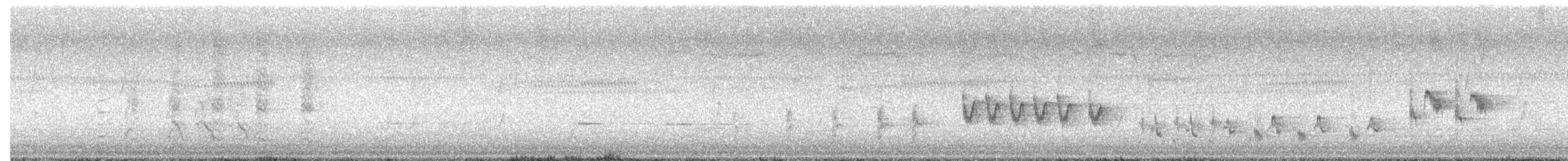 Australian Reed Warbler - ML611615084