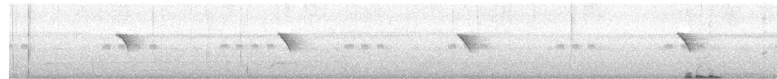 Карликовая нектарница - ML611616121